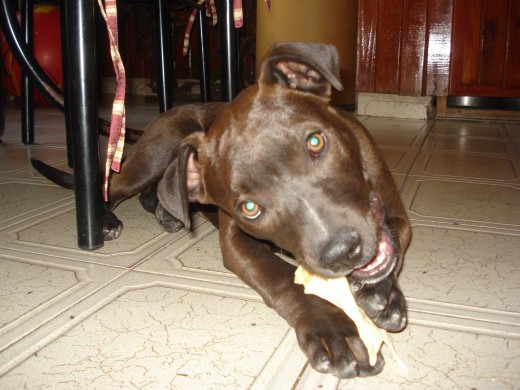 est es mi bebe,lo amooooo!!! est es mi bebe,lo amooooo!!!